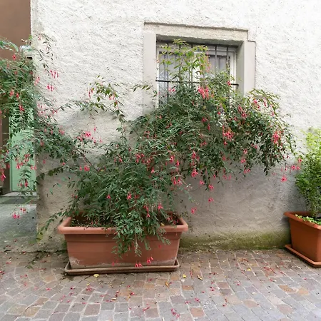 Mamma Ciccia - Fishermen's Alley アパート *